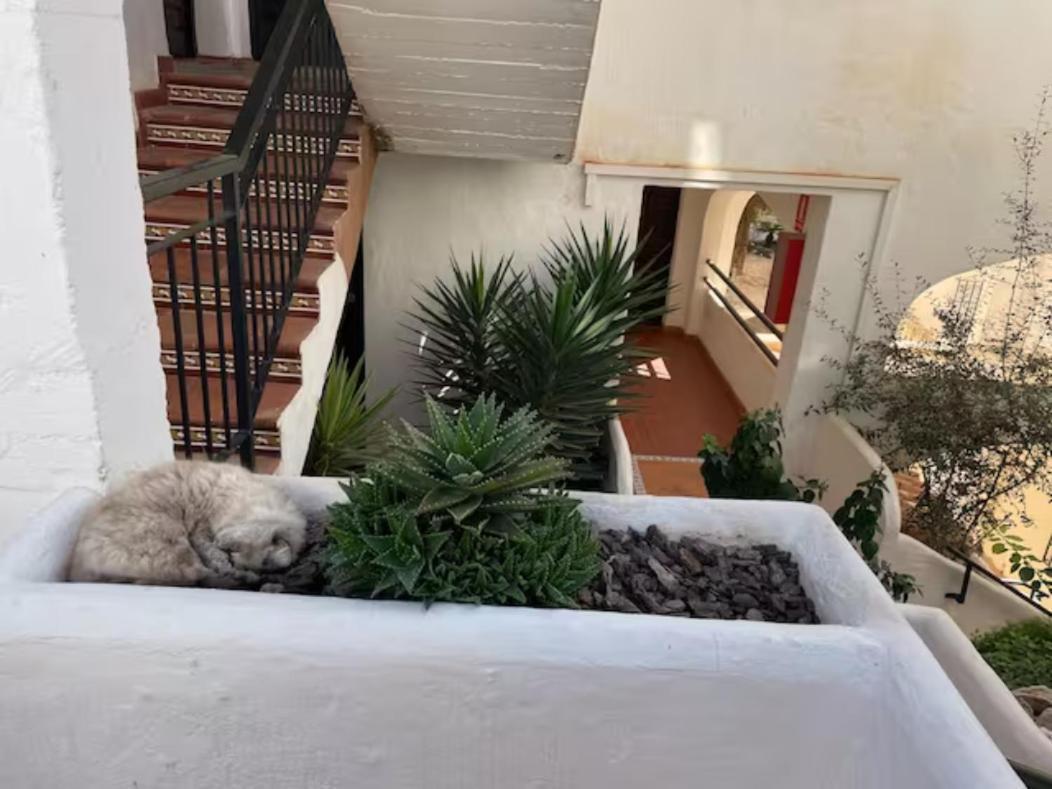 Pueblo Evita Apartment In Exclusive Holiday Complex Benalmadena Ngoại thất bức ảnh